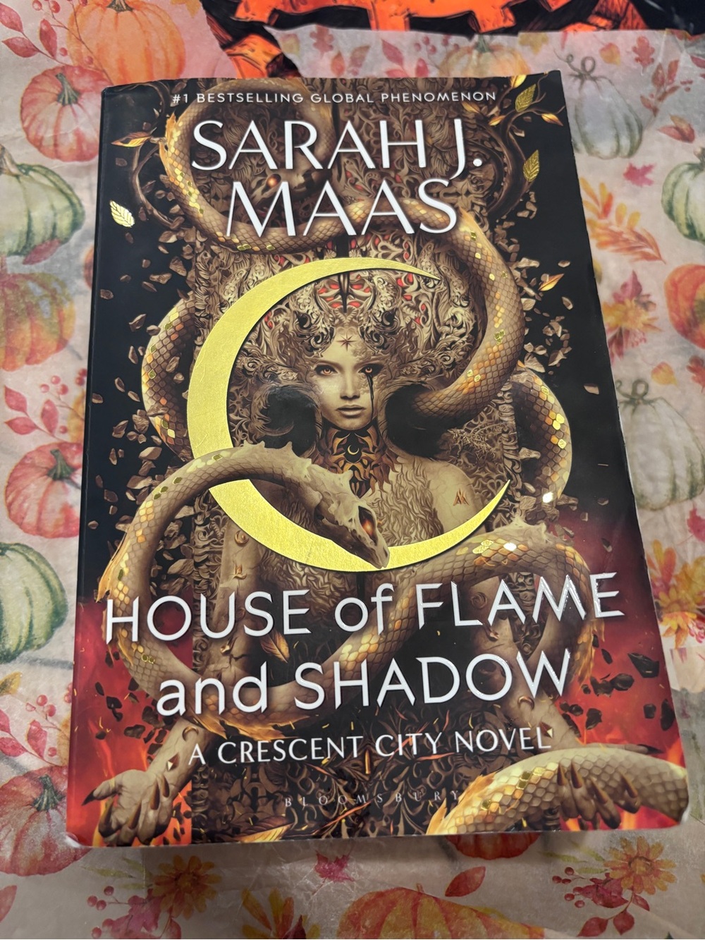 House of Flame and Shadow (Crescent City #3)